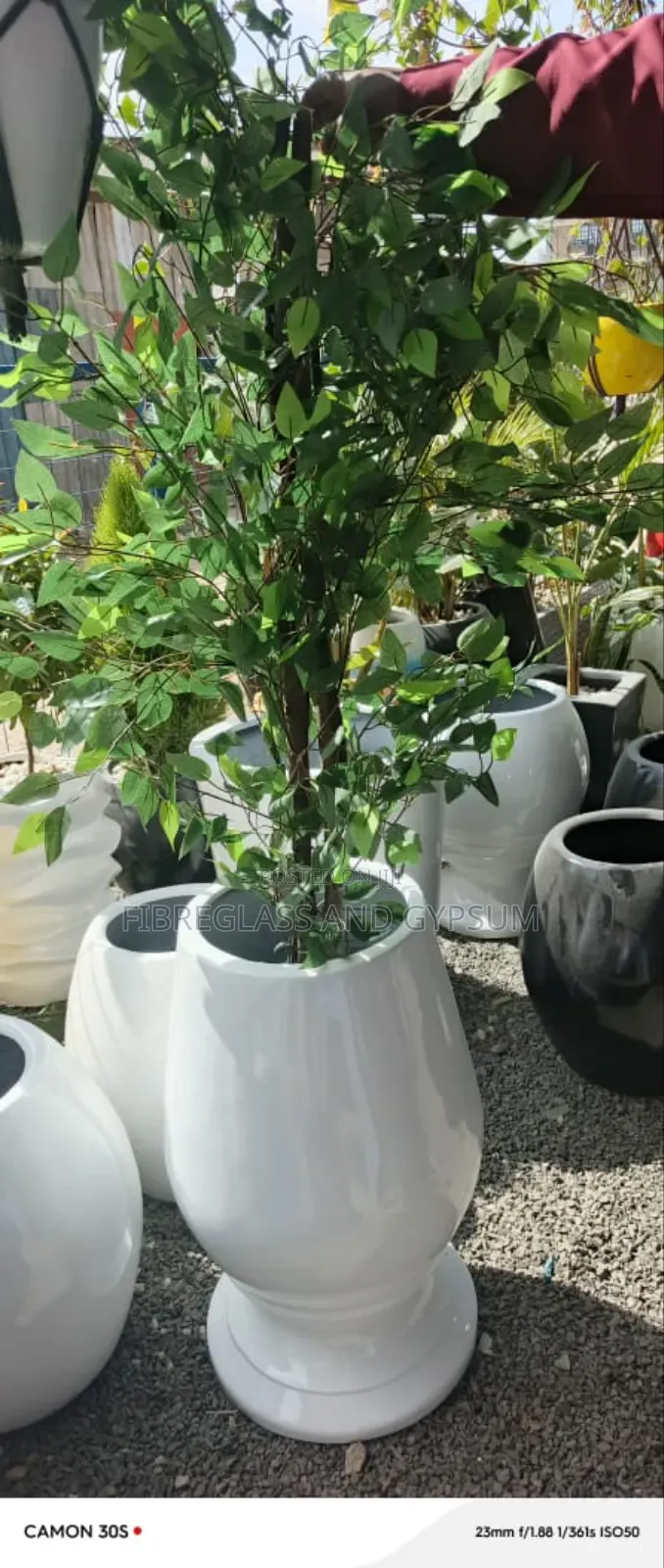 Wine Ronto Fibre Pot