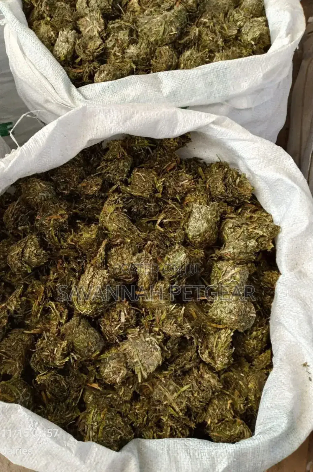 Pure Lucerne Briquettes for Your Livestock - Moq - 10 Bags