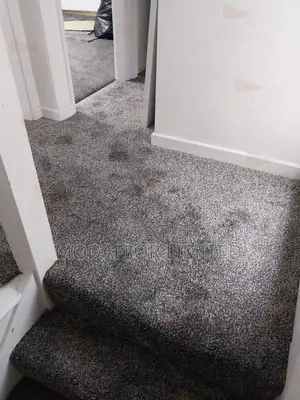 Comfy Wall-to-Wall Carpet – Soft, Warm Luxury Feel