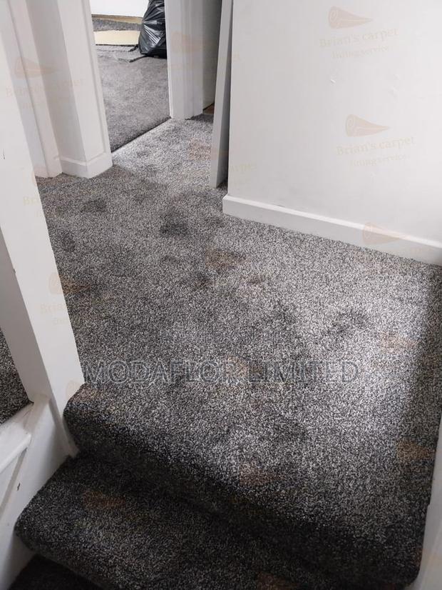 Comfy Wall-to-Wall Carpet – Soft, Warm Luxury Feel