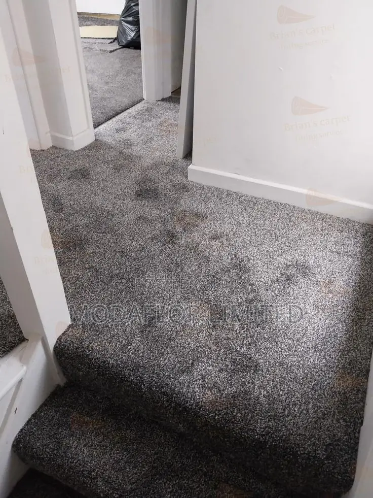 Comfy Wall-to-Wall Carpet – Soft, Warm Luxury Feel