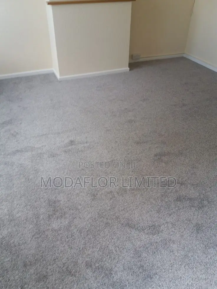 Comfy Thick Wall-to-Wall Carpet – Best for Bedrooms