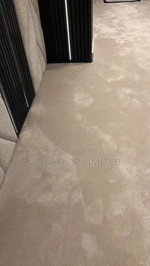 Wall-to-Wall Home Carpet – Super Soft Durable
