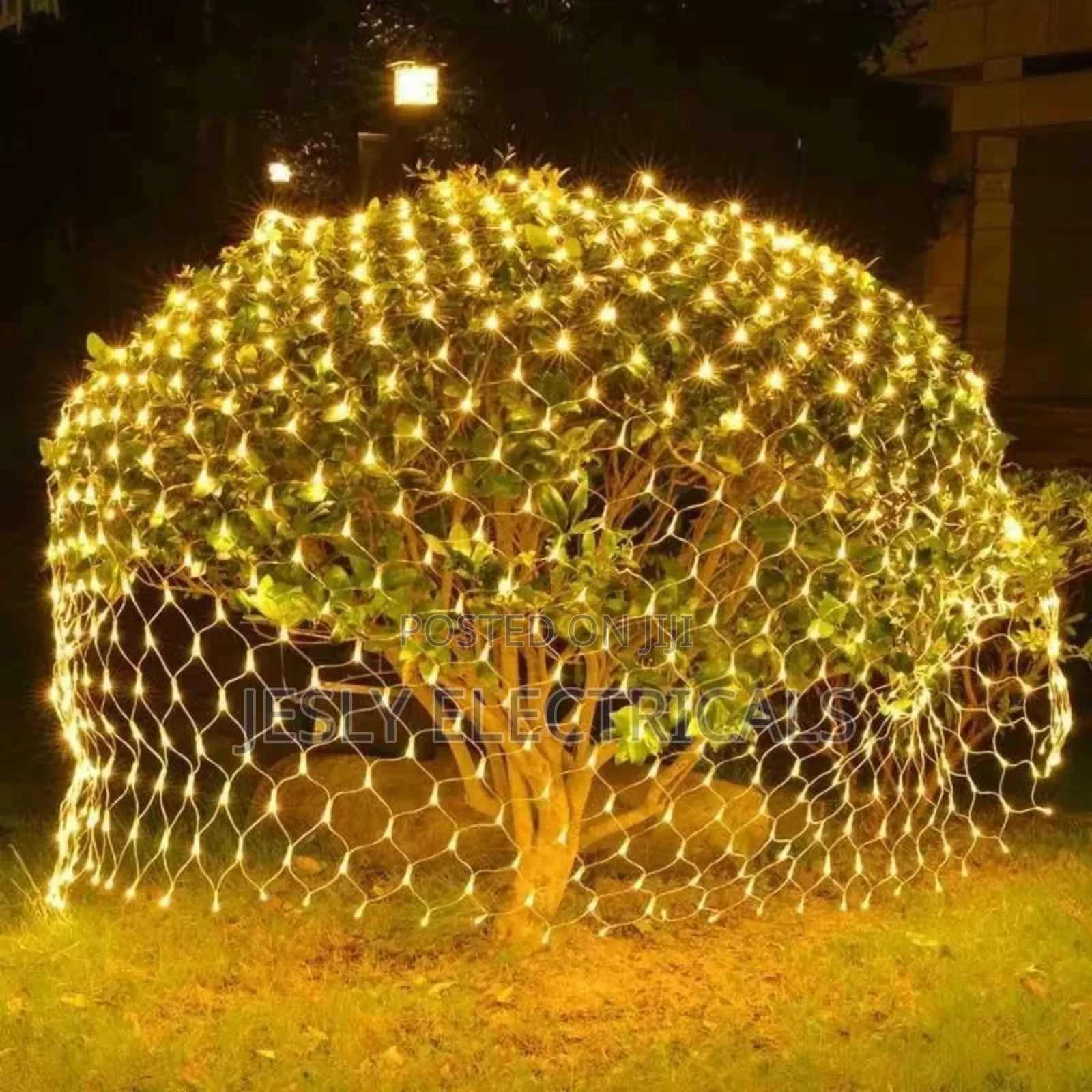 Fairy Lights