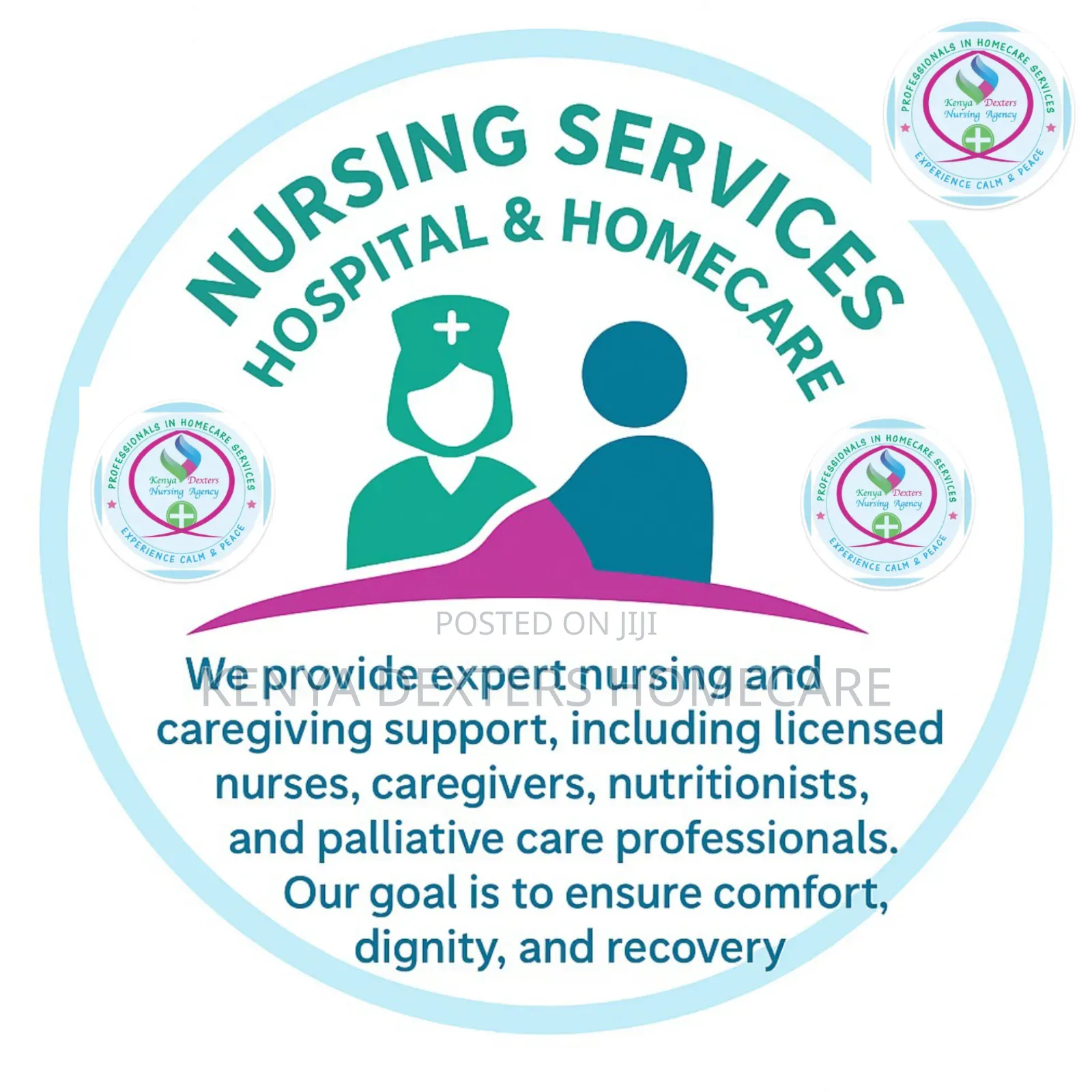 Home Based Care Services (Nursing Agency)