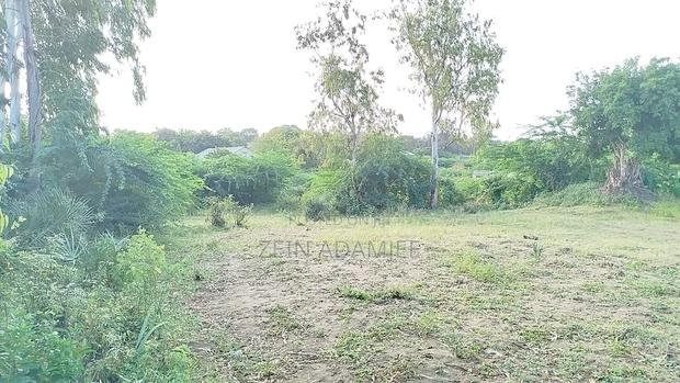 Half an Acre for Sale in Malindi - thumbnail 6