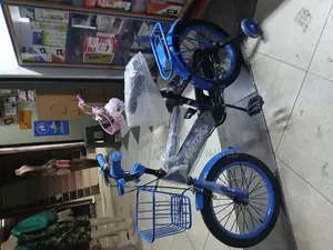 16-Inch Boys’ BMX-Style Kids Bicycle, Training Wheels Front Basket