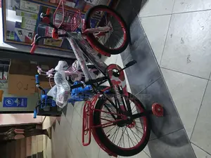 20-Inch Boys’ BMX-Style Kids Bicycle With Basket Rear Carrier