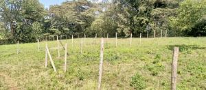 Kahara Upper Matasia - thumbnail 2