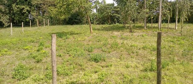 Kahara Upper Matasia - thumbnail 3