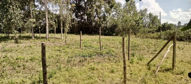 Kahara Upper Matasia - thumbnail 4