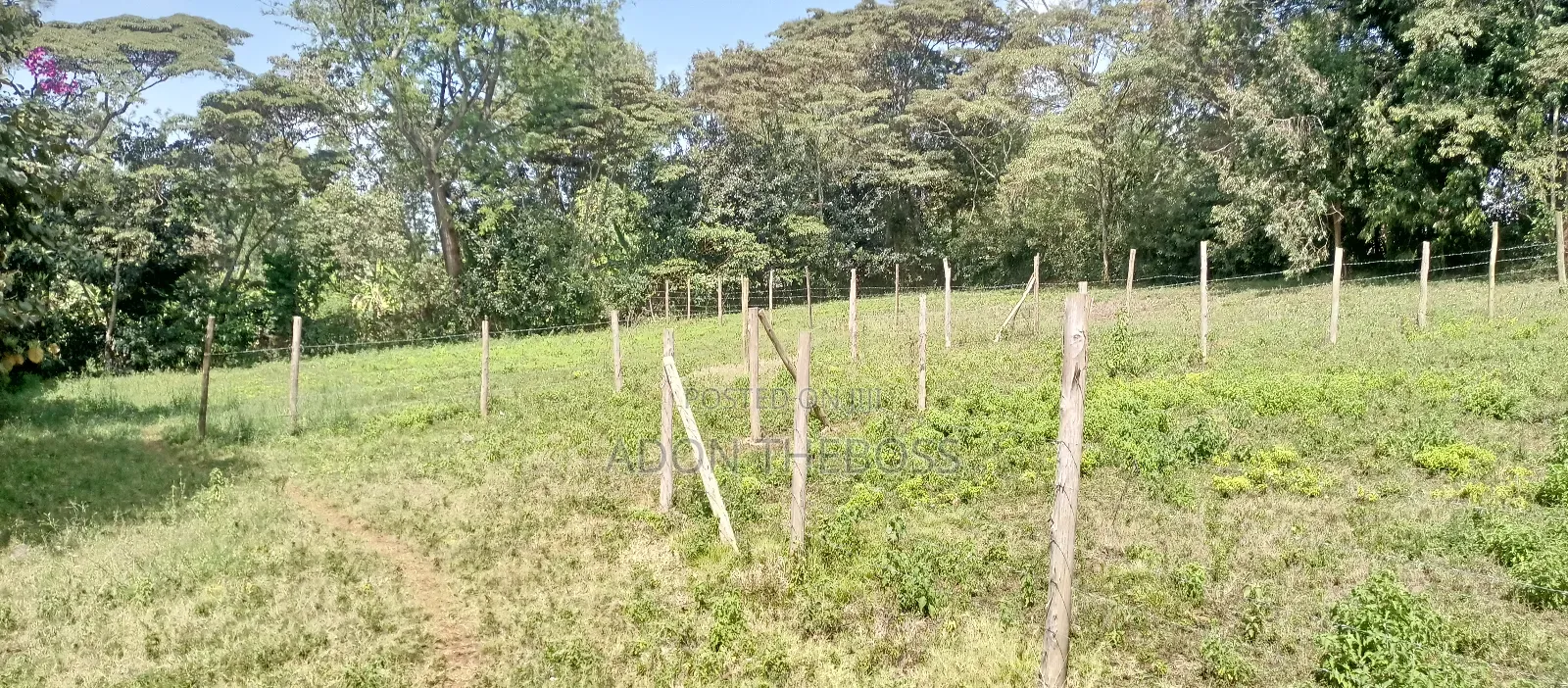 Kahara Upper Matasia