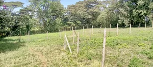 Kahara Upper Matasia