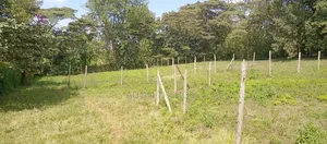 Kahara Upper Matasia