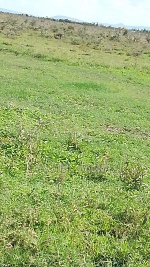 100x100 Titled Plot Beaconed - main view