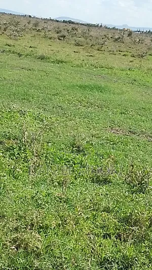 100x100 Titled Plot Beaconed Land on Sale
