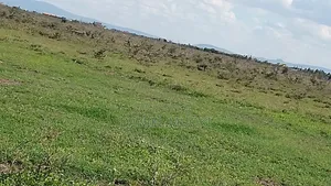 100x100 Titled Plot Beaconed Land on Sale