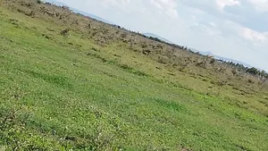 100x100 Titled Plot Beaconed Land on Sale