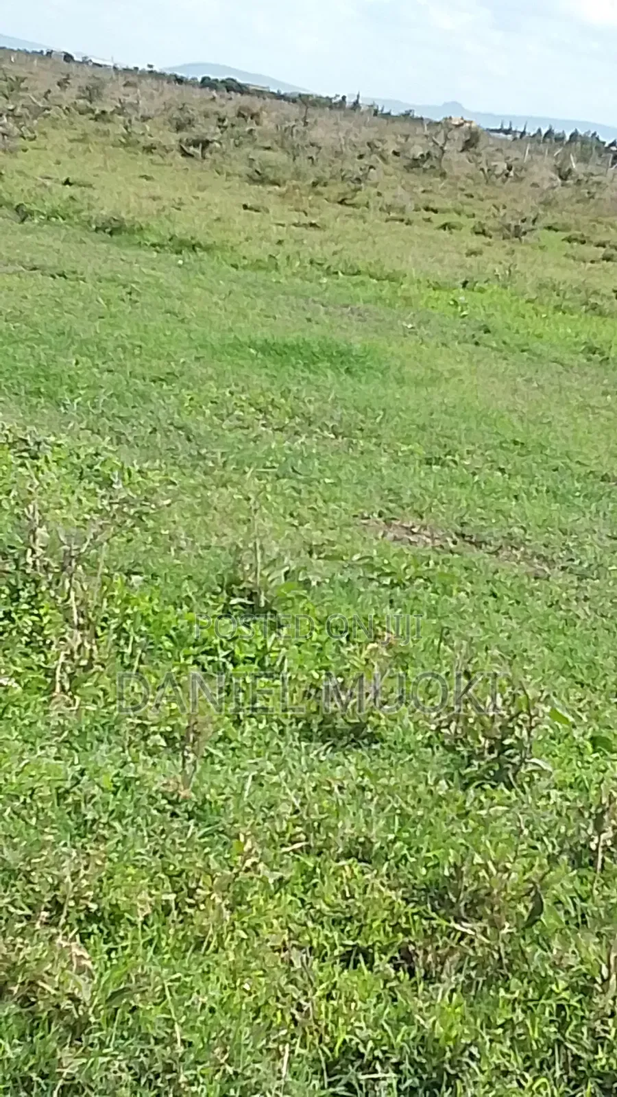100x100 Titled Plot Beaconed Land on Sale