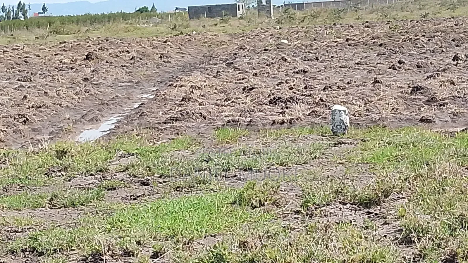 100x100 Titled Plot Beaconed Land on Sale