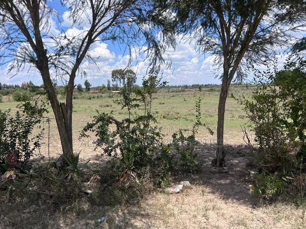 2 Acres in Nanyuki [ Njoguine ] - thumbnail 5