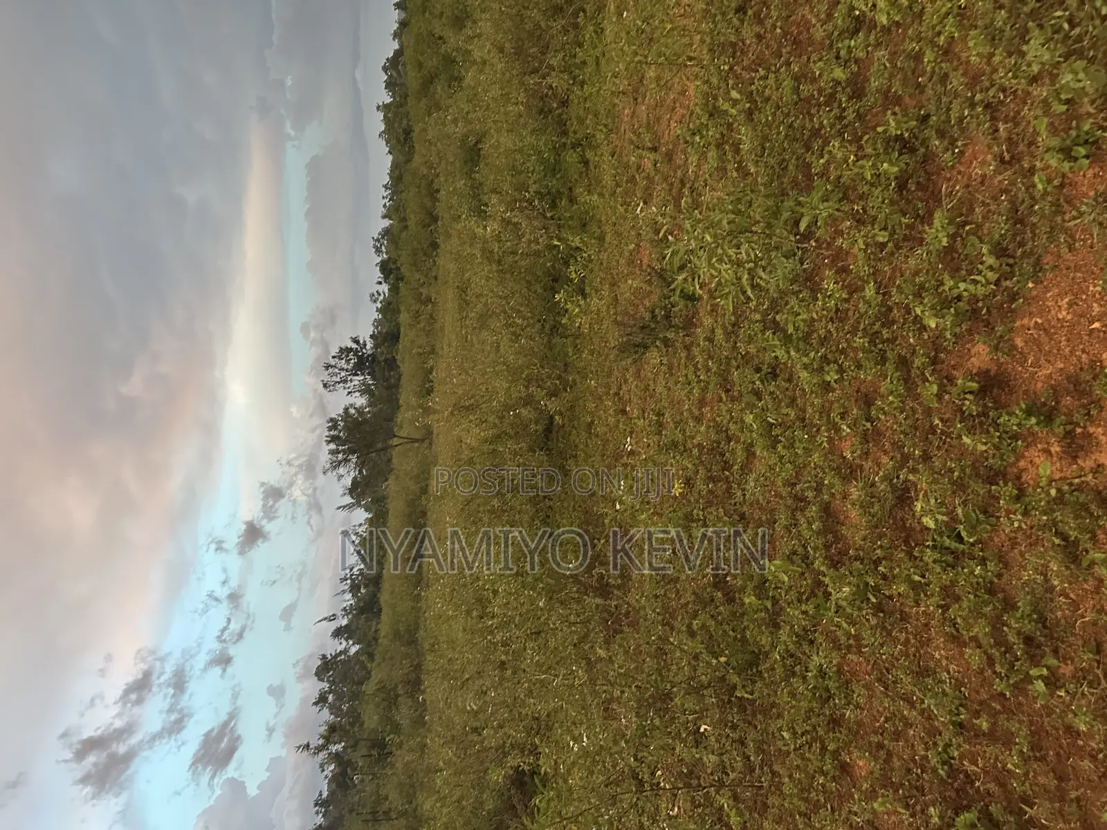 Siaya Hono Junction.