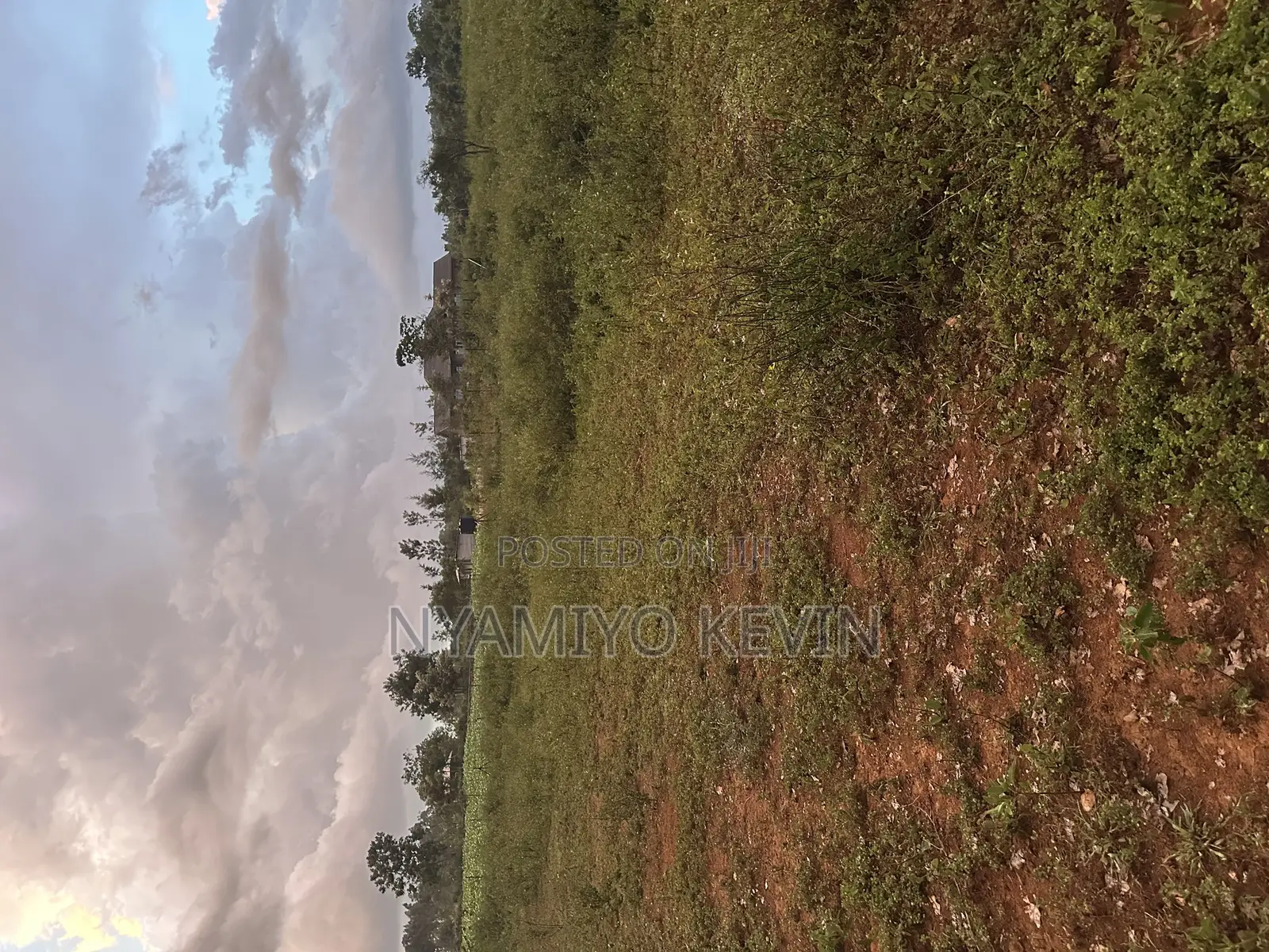 Siaya Hono Junction.