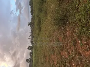 Siaya Hono Junction.