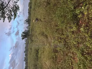 Siaya Hono Junction.