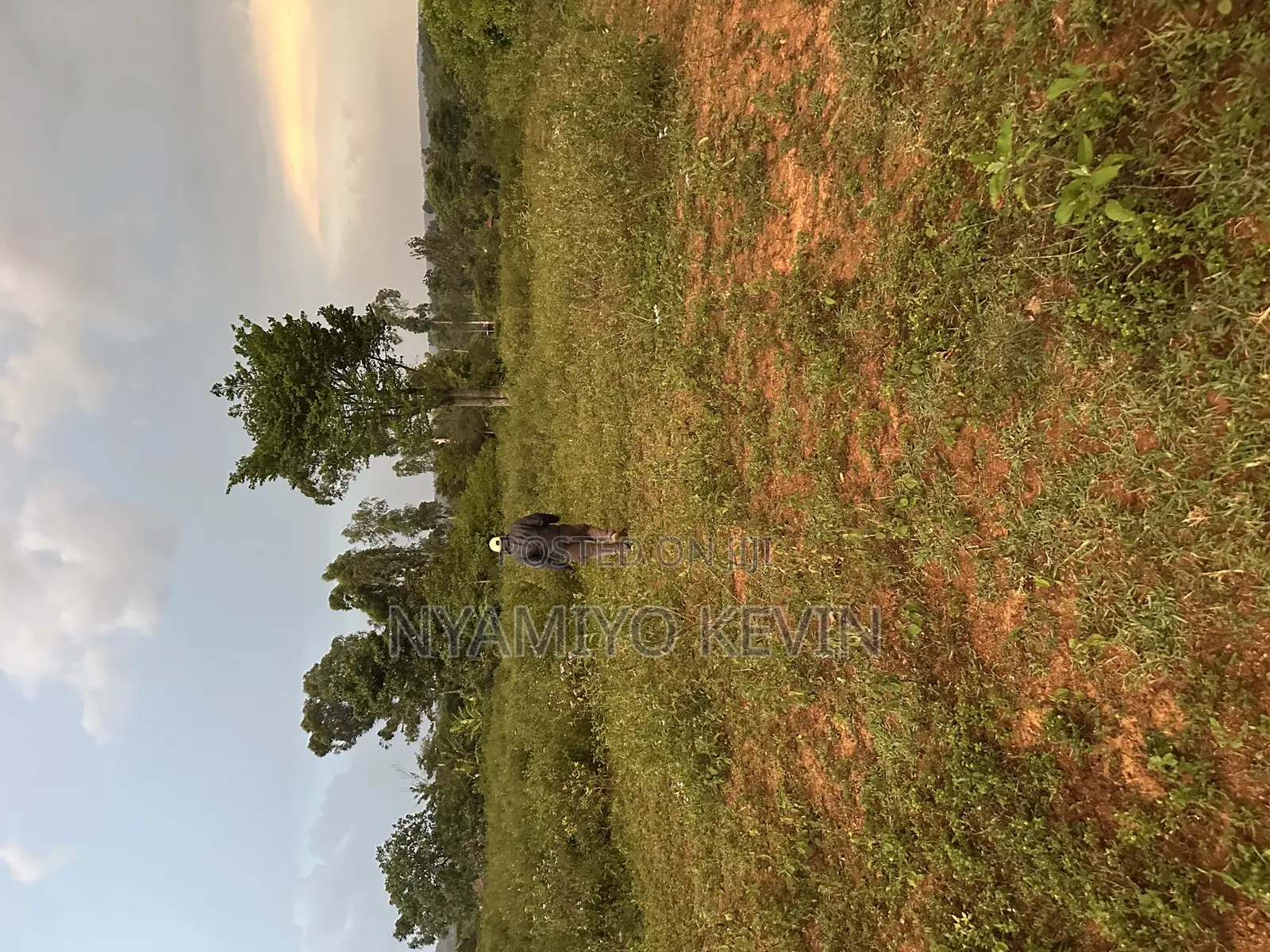 Siaya Hono Junction.