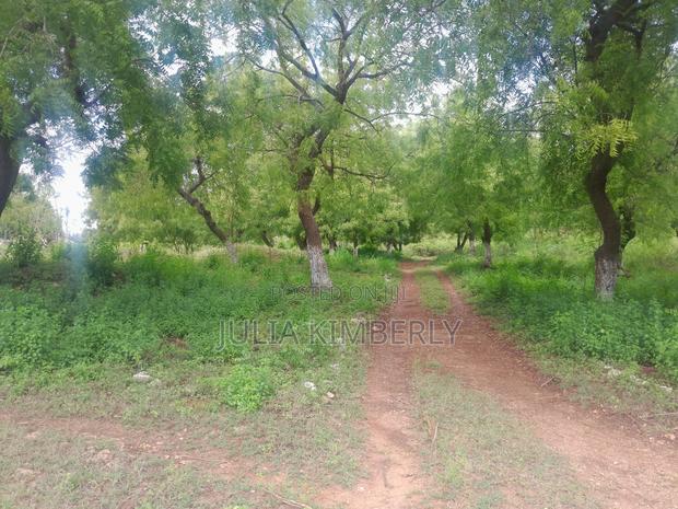 Shanzu 1/4 an Acre Available for Sale. - thumbnail 3