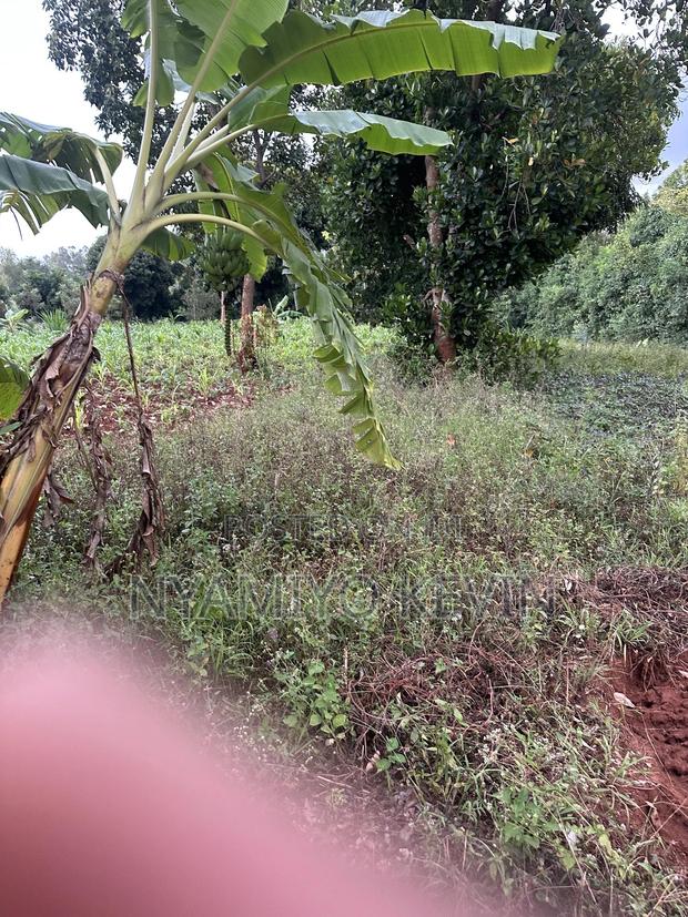 Siaya Mulaha Area - thumbnail 4