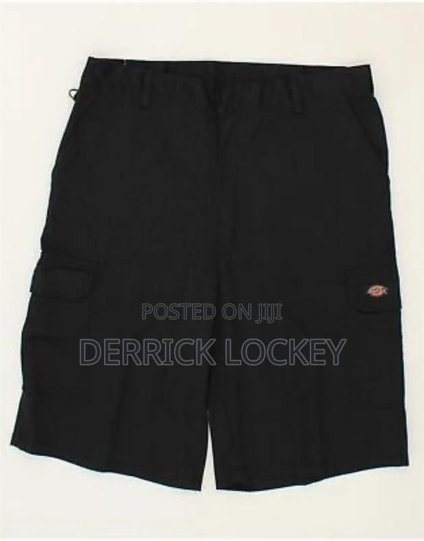Dickies Shorts