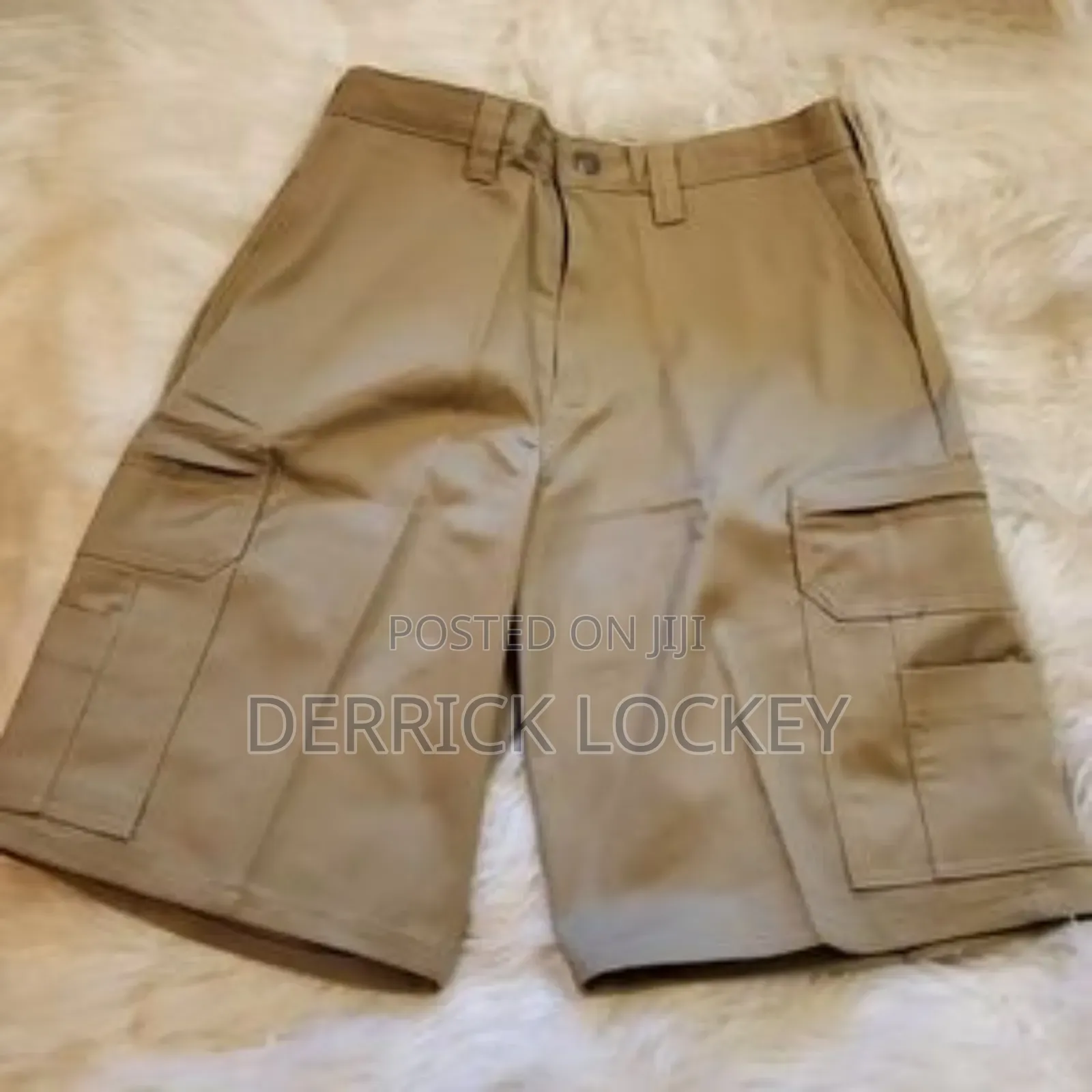 Dickies Shorts