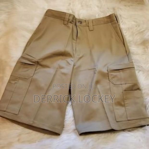 Dickies Shorts - thumbnail 3