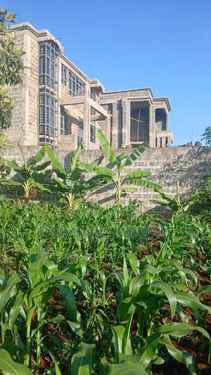 Prime Plot 50 × 100 - thumbnail 2