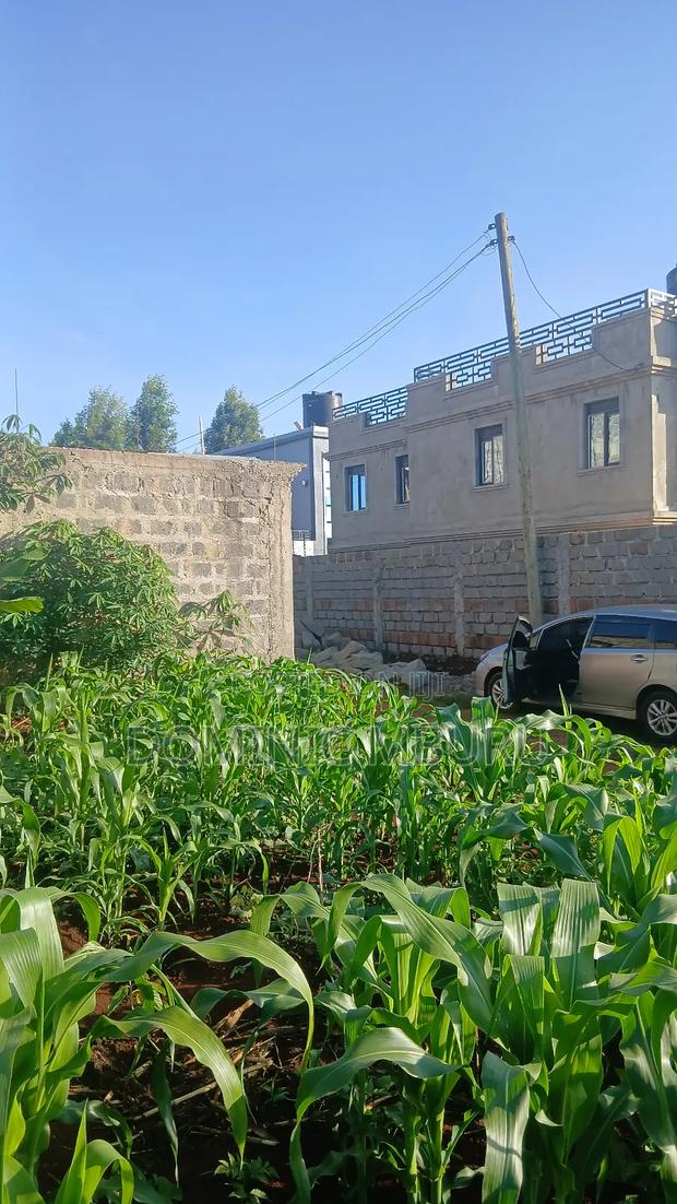 Prime Plot 50 × 100 - thumbnail 4