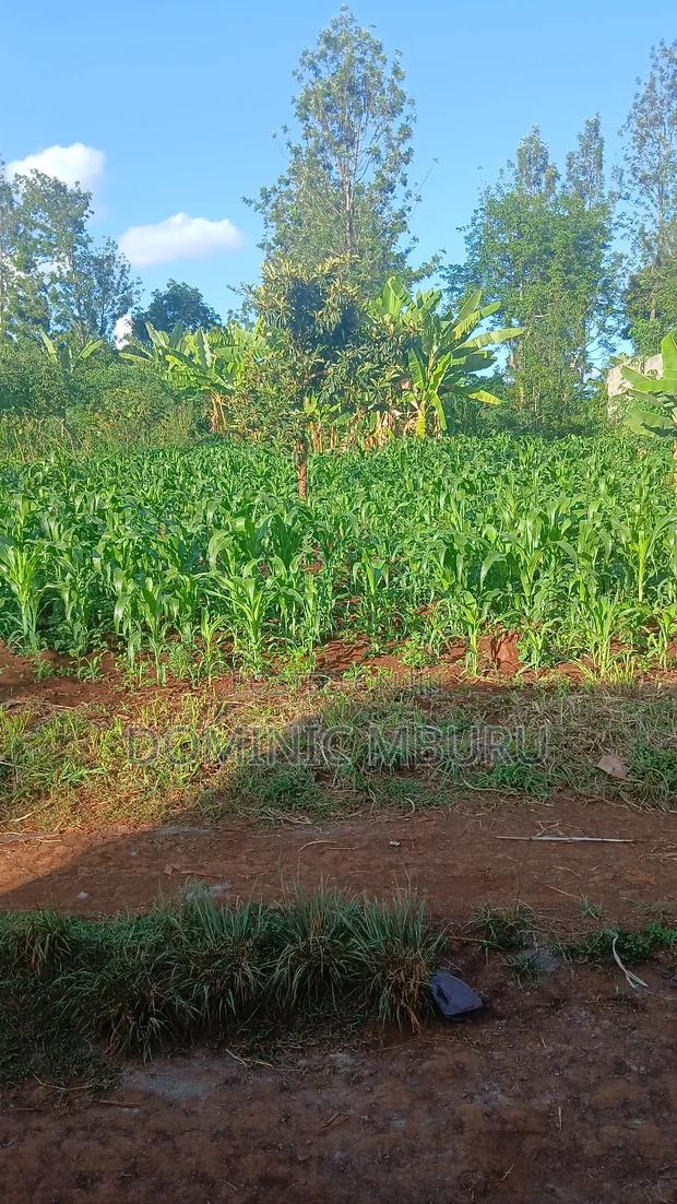 Prime Plot 50 × 100 - thumbnail 8