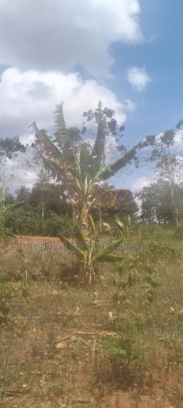Four Acres Land Kilifi - main view