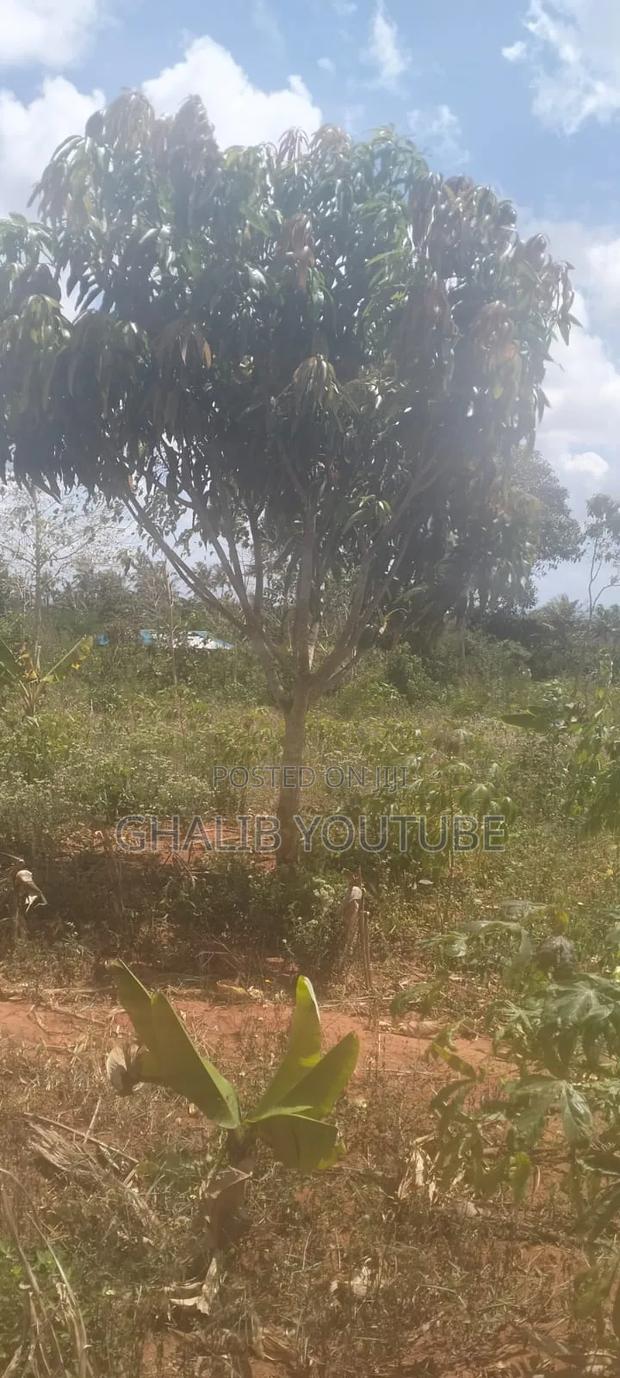 Four Acres Land Kilifi - thumbnail 3
