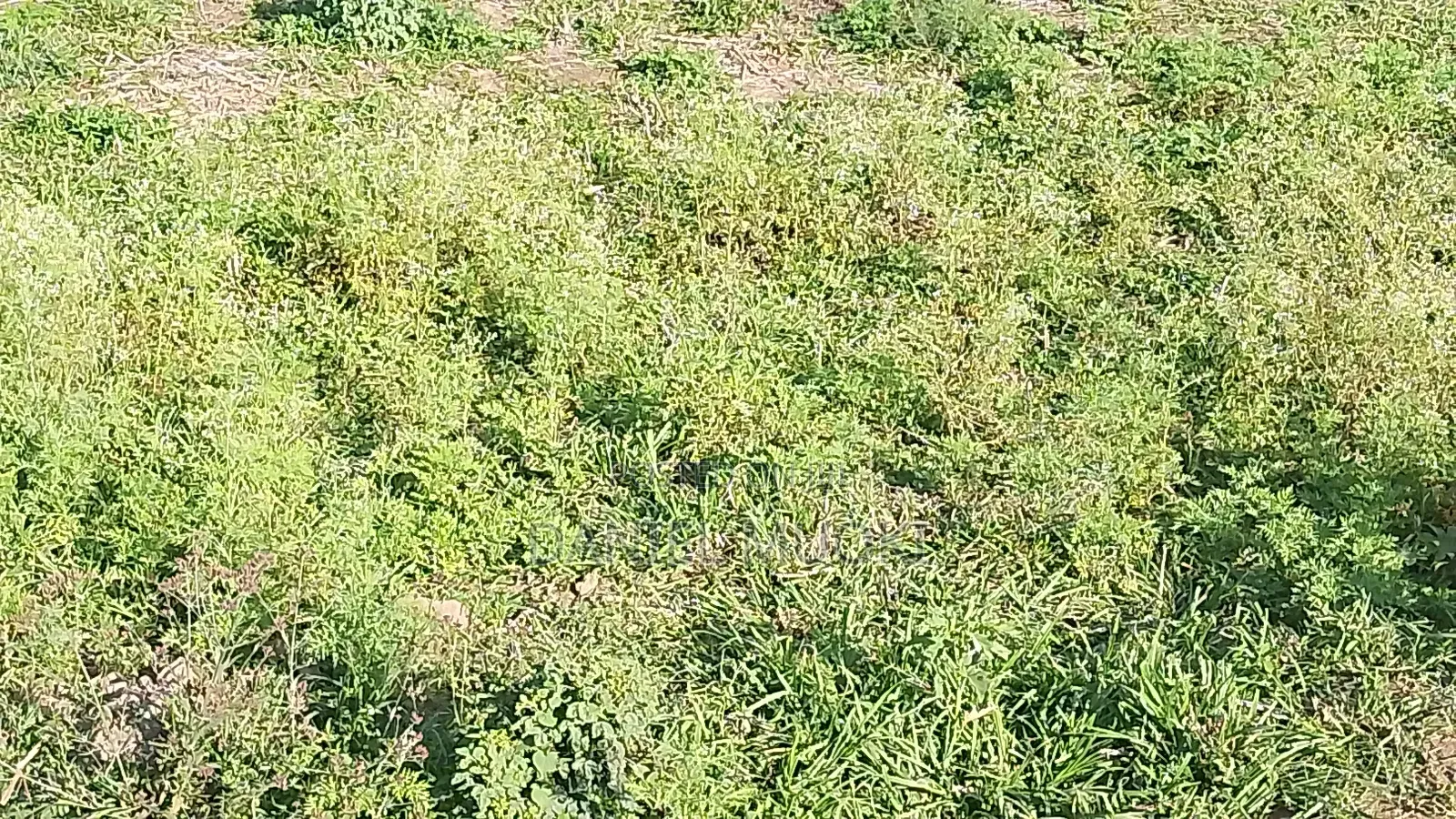 50z100 Plot Size Touching Main Road Njiru Mwili Road