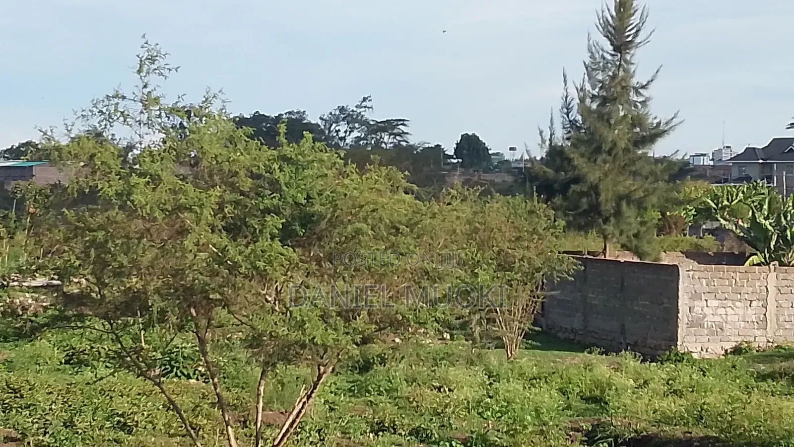 50z100 Plot Size Touching Main Road Njiru Mwili Road