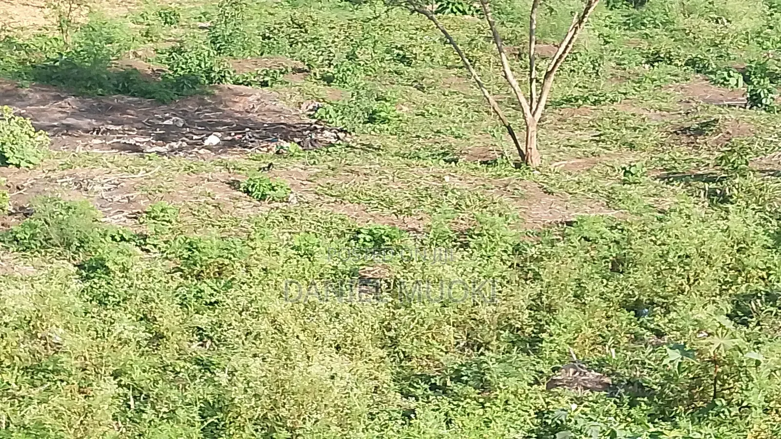 50z100 Plot Size Touching Main Road Njiru Mwili Road