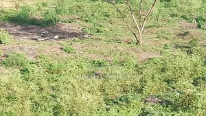 50z100 Plot Size Touching Main Road Njiru Mwili Road