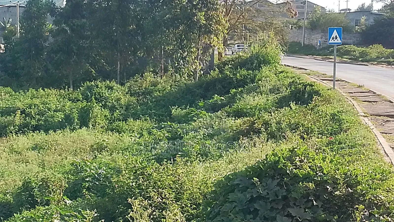 50z100 Plot Size Touching Main Road Njiru Mwili Road