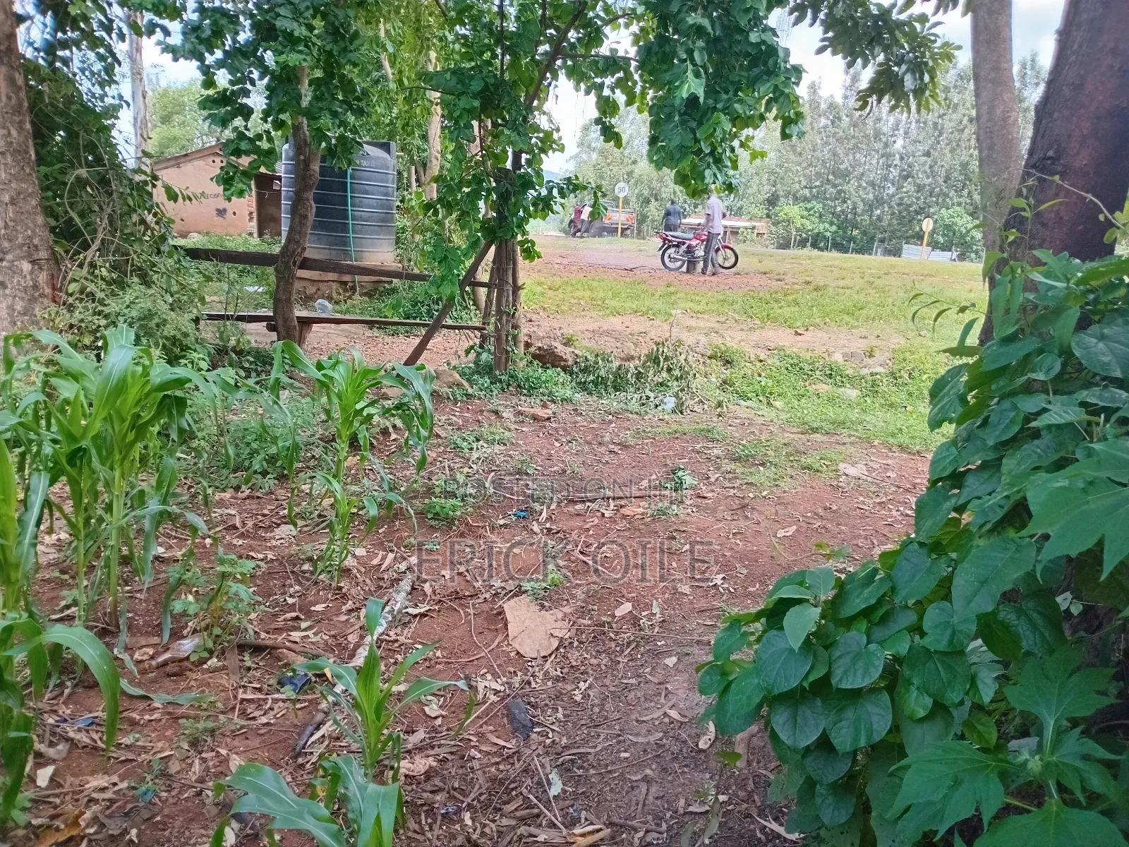 Prime Land on Sale 200x200 (0.35)Ha Near Merryland Hotel Rongo