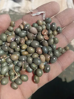 Army Green Beans / Army Beans