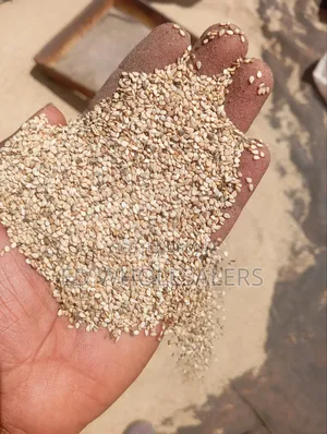 Premium White Sesame Seeds
