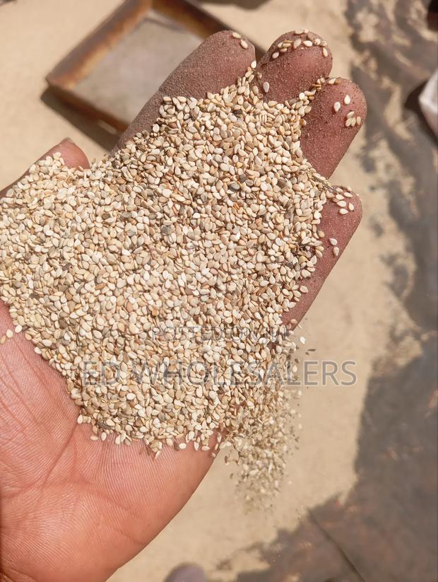 Premium White Sesame Seeds - main view
