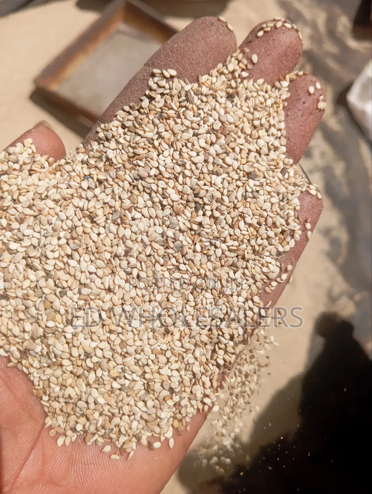 Premium White Sesame Seeds